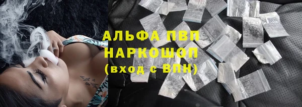 дживик Карпинск